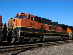 BNSF 1038